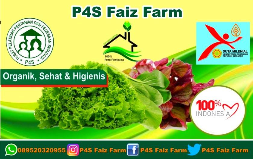 P4S Faiz Farm